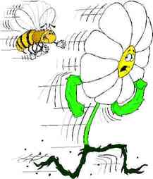 pollinate