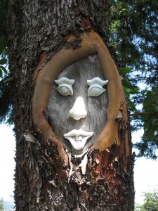 face in tree closeup