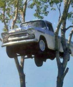 truck in tree