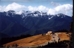 Hurricane Ridge