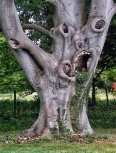 anguished tree